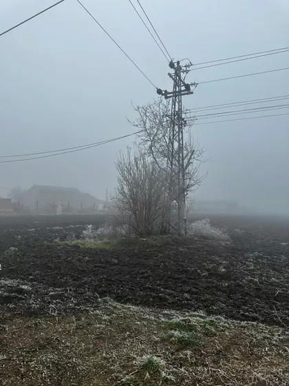 Radinački Put | 4zida.rs