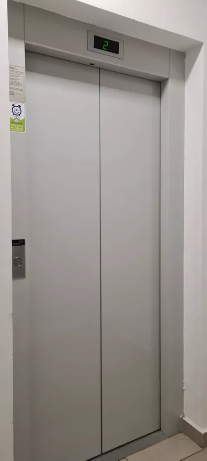 Miljana Miljanića | 4zida.rs