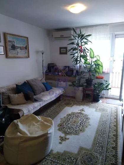 Nova Detelinara | 4zida.rs