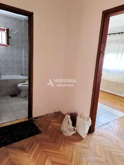 Jana Kolara | 4zida.rs