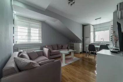 Novi Sad - Centar | 4zida.rs