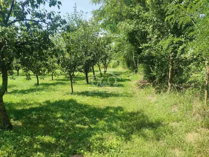 Male Pčelice | 4zida.rs