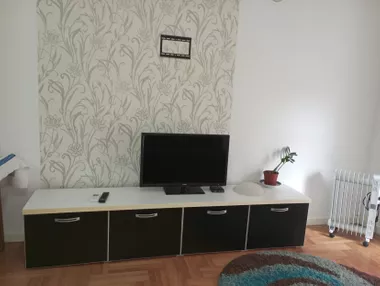 Vase Pelagića