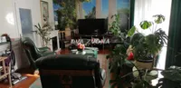 Temerin, Gradske lokacije | 4zida.rs | 4zida.rs