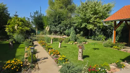 Palić | 4zida.rs