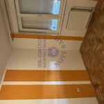 Novi Sad, Gradske lokacije, Telep, Bulevar Patrijarha Pavla (Somborski Bulevar) | 4zida.rs | 4zida.rs