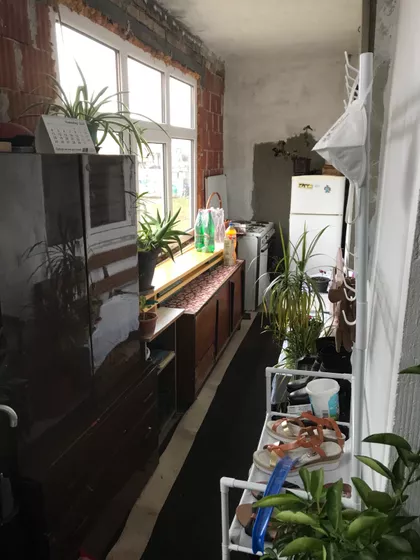 Stevana Jakovljevica | 4zida.rs