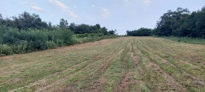 Drenovačka | 4zida.rs