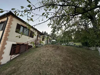 Pivljanina Baja | 4zida.rs