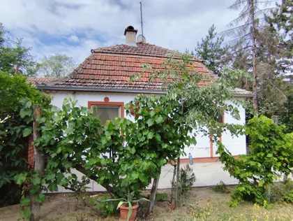 Zorka | 4zida.rs