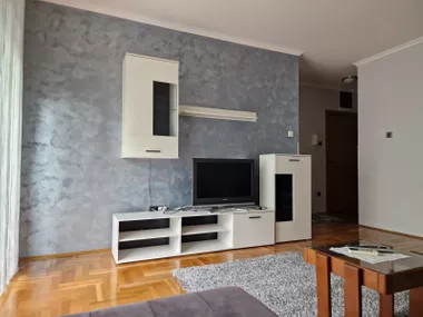 Miše Dimitrijevića