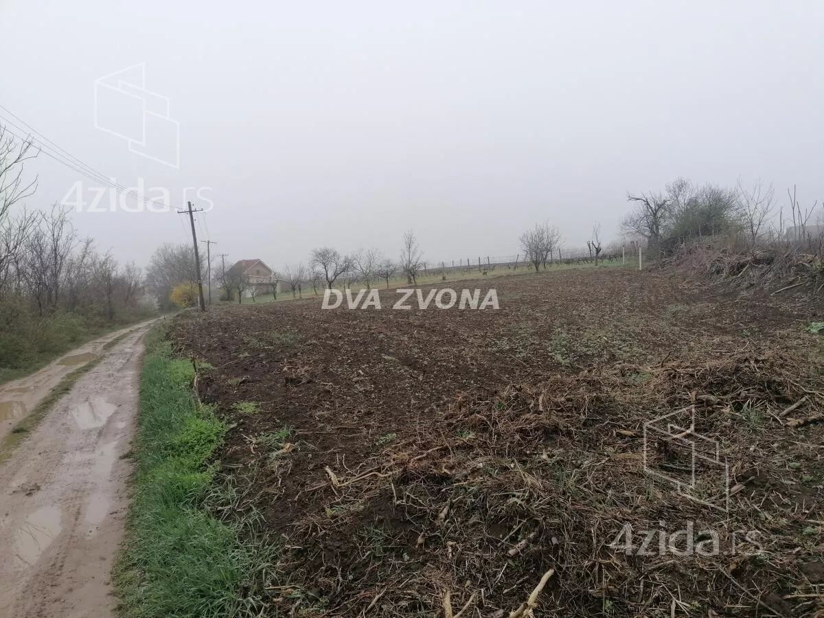 Plac | 4zida