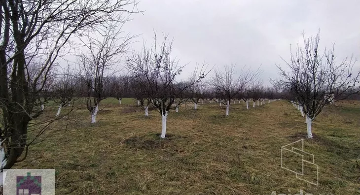 Poljoprivredno zemljište | 4zida