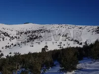 Palilule, Gradske lokacije, Kragujevac | 4zida.rs