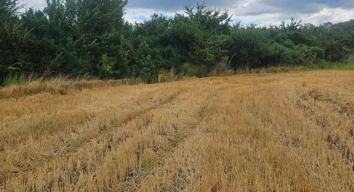 Poljoprivredno zemljište | 4zida
