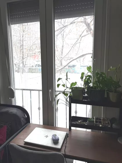 Obalskih radnika | 4zida.rs