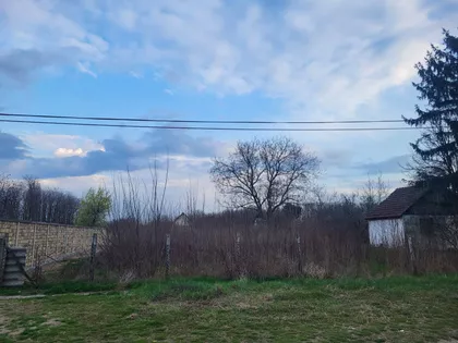 Josipa Kolumba | 4zida.rs