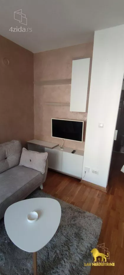 DR SVETISLAVA KASAPINOVIĆA | 4zida.rs