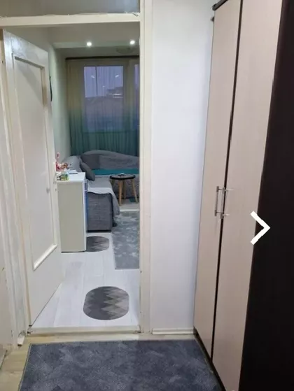 Luja Pastera | 4zida.rs