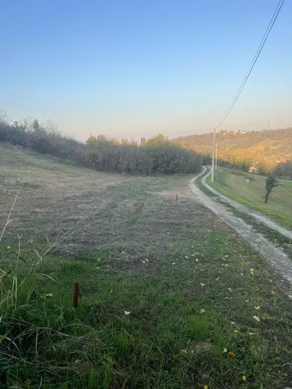 Sremska Kamenica | 4zida.rs