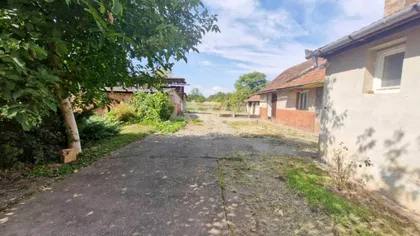 Telečka | 4zida.rs