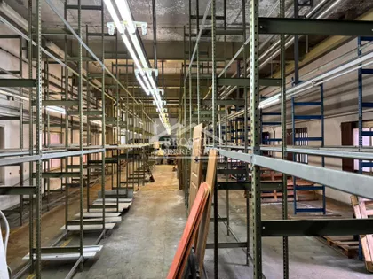 Mite Ružića | 4zida.rs