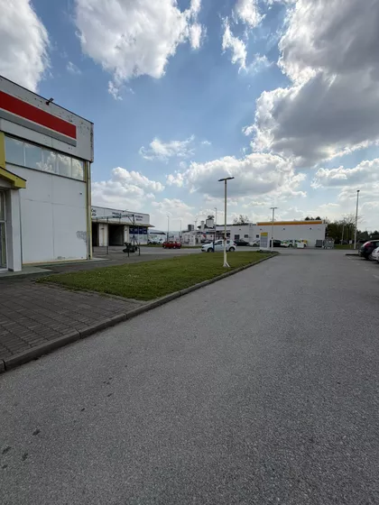 Miodraga Vlajića Šuke | 4zida.rs