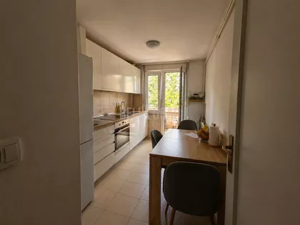 Gospodara Vučića | 4zida.rs