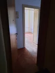 Novi Sad - Centar, Stari Grad, Gradske lokacije, Novi Sad | 4zida.rs | 4zida.rs