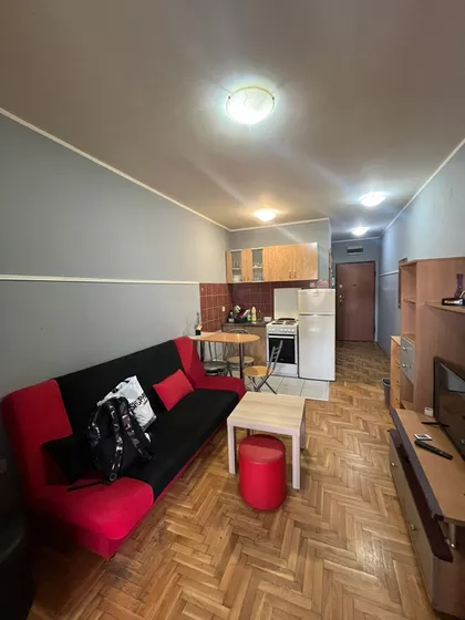 Nova Detelinara | 4zida.rs