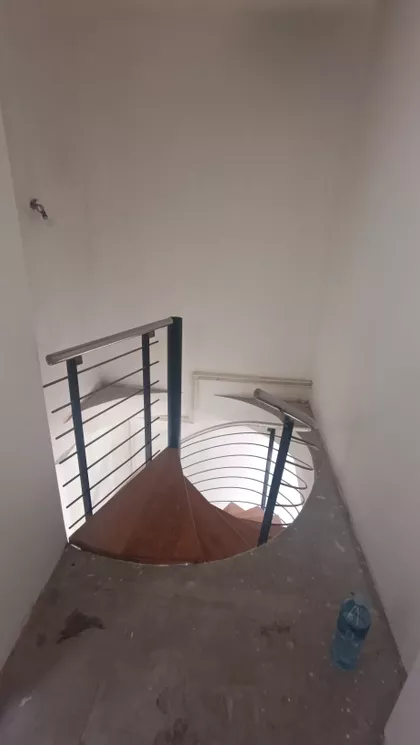 Cara Dušana | 4zida.rs