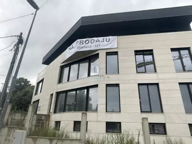 Dedinje