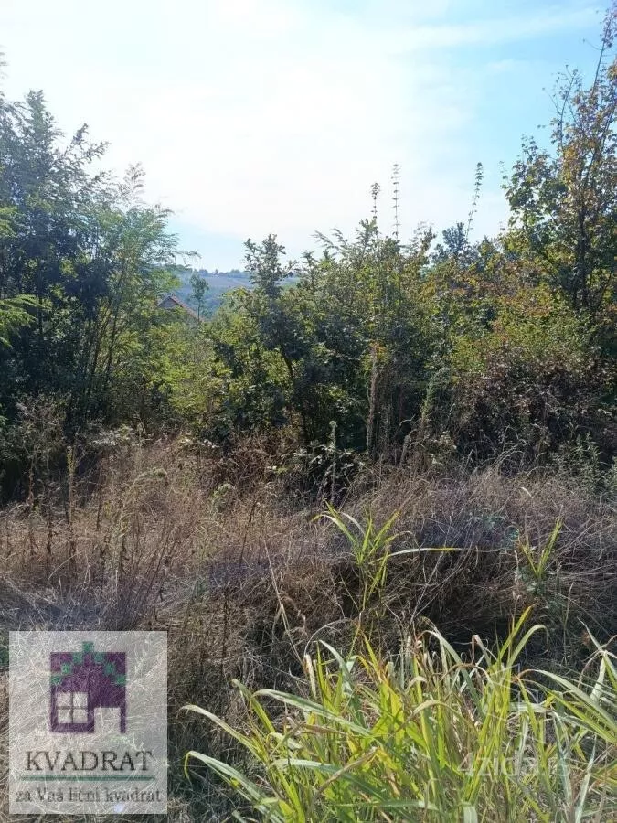 Plac | 4zida