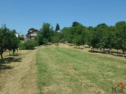 Čortanovci | 4zida.rs