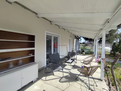 Bački Vinogradi | 4zida.rs