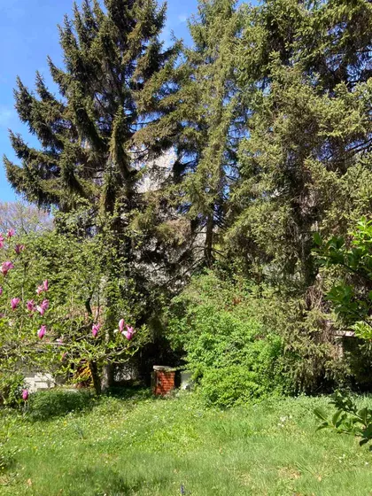 Šumski Laz | 4zida.rs