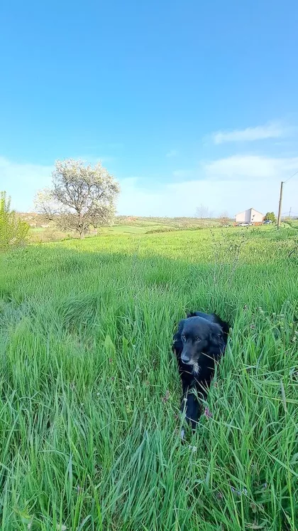 Velika Ivanča | 4zida.rs