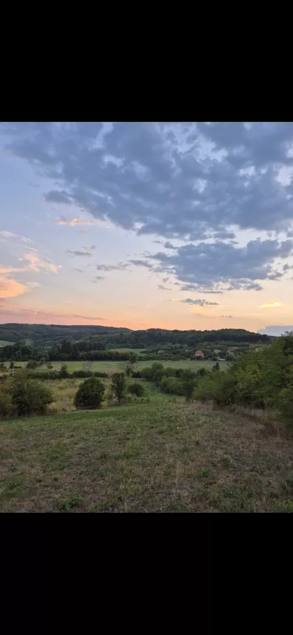 Save Kovačevića | 4zida.rs