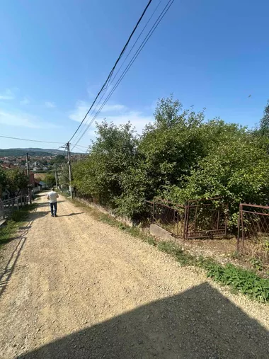 Veroljuba Verka Radenkovića