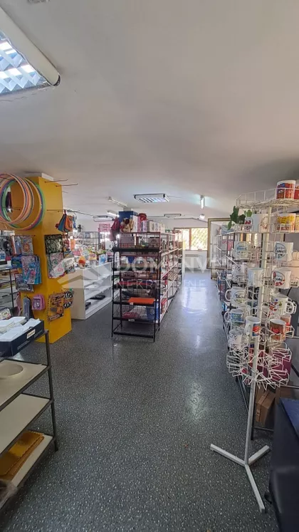 Salvadora Aljendea | 4zida.rs