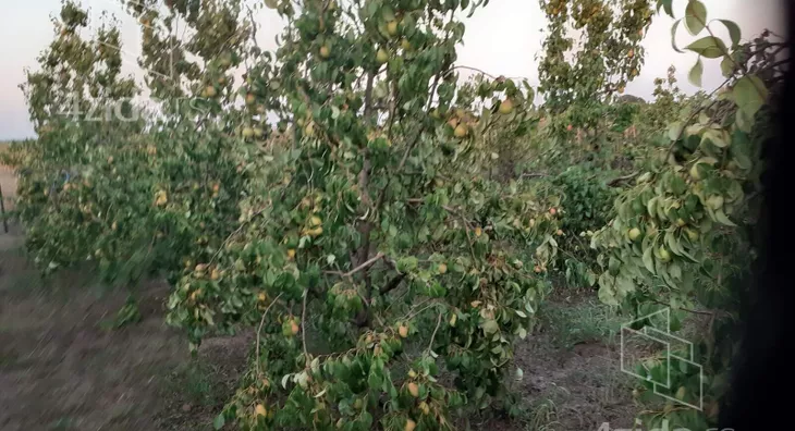 Poljoprivredno zemljište | 4zida