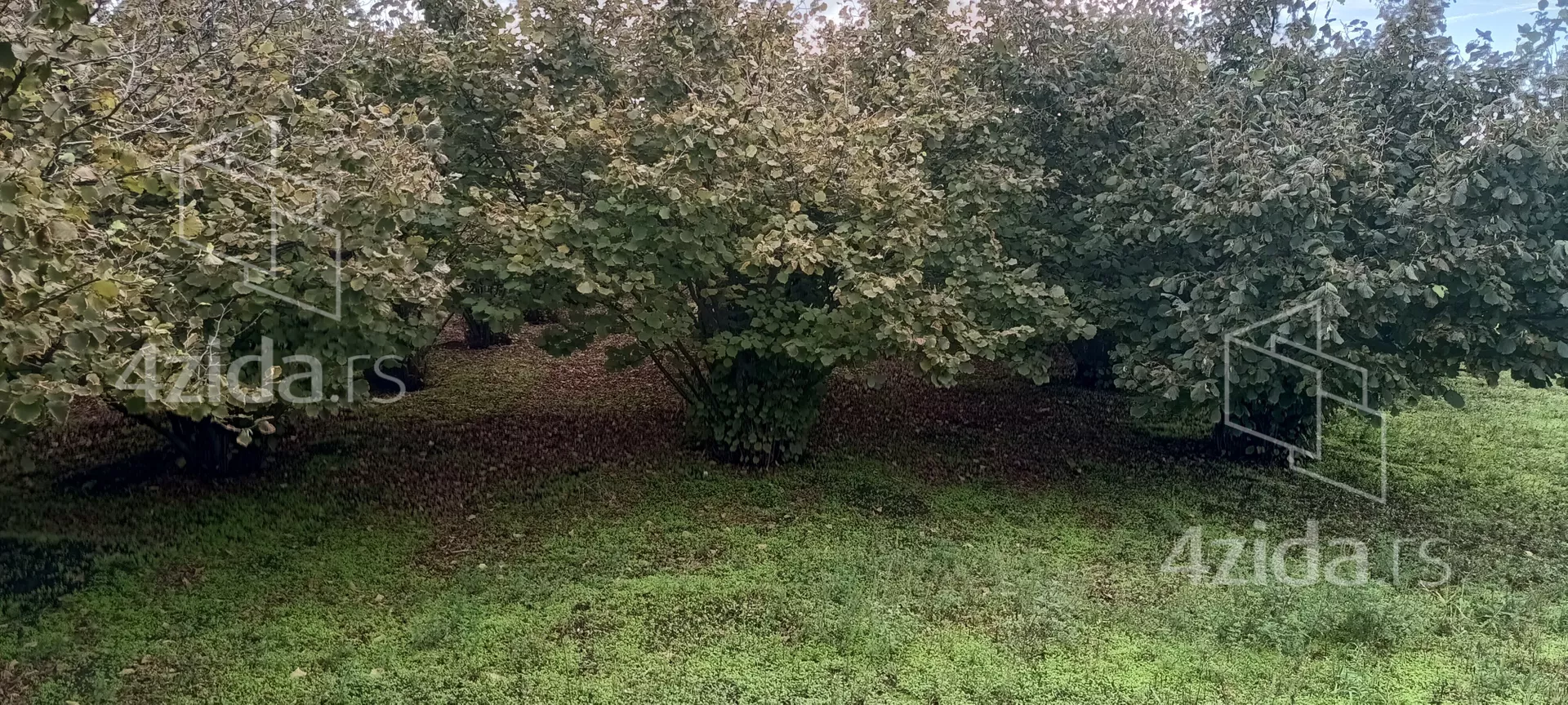 Poljoprivredno zemljište | 4zida
