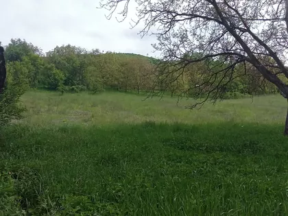 Sretenjska 17 | 4zida.rs