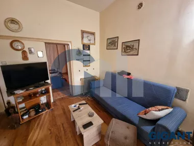 Slanački put