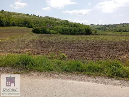 Barič | 4zida.rs