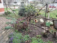 Gradske lokacije, Bačka Topola | 4zida.rs | 4zida.rs