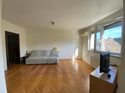 Zaplanjska | 4zida.rs