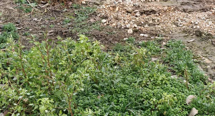 Građevinsko zemljište | 4zida