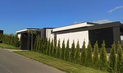 Jovana Žujovića | 4zida.rs