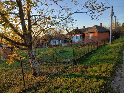 Veliki Borak | 4zida.rs